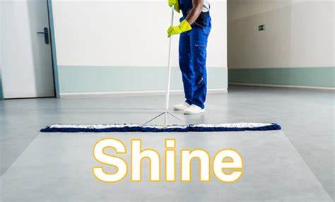 shine of 5s